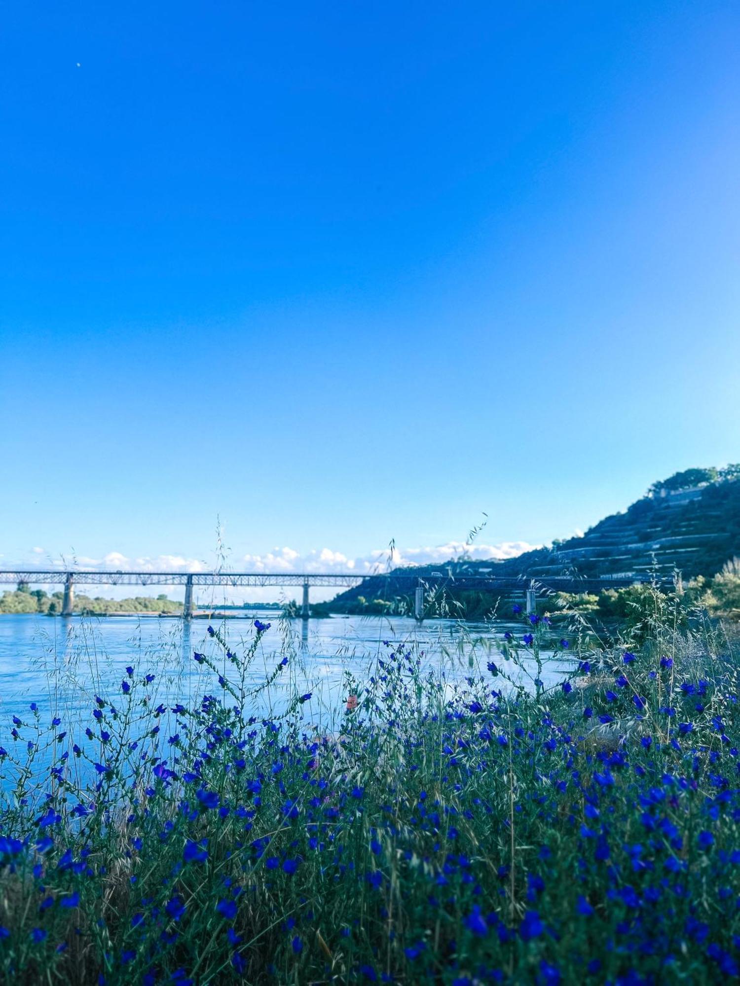 הוילה Santarém Chalet Santa Iria מראה חיצוני תמונה
